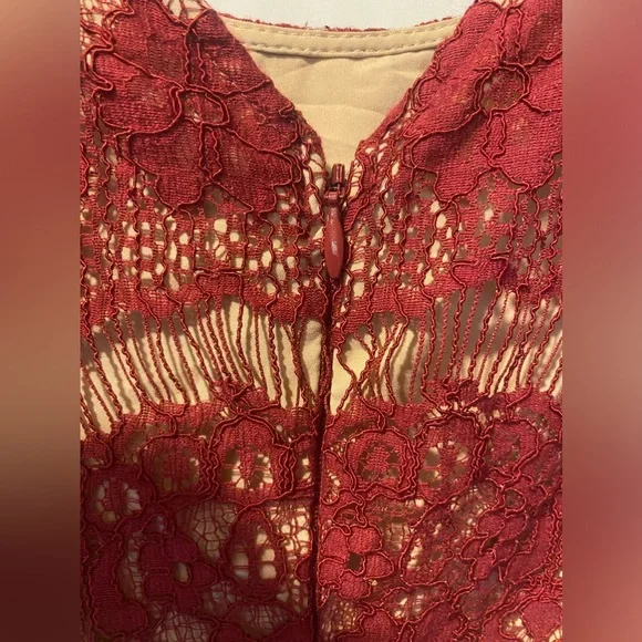 Anthropologie Elsa Peplum Dress Burgundy Lace Size SMALL - Picture 9 of 12